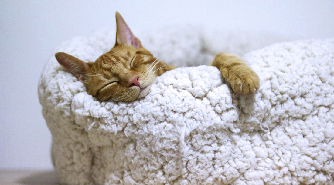 Sleep & Skin: How Staying Up Late Affects Your Face