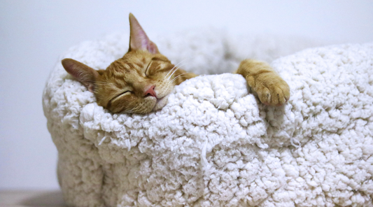 Sleep & Skin: How Staying Up Late Affects Your Face